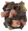 Red Vanadinite Crystals on Manganese Oxide - Morocco #38470-1